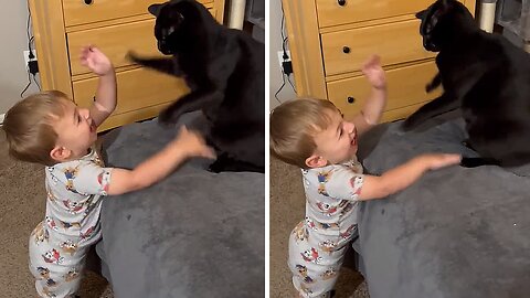 Boy Engages In Playful 'Fight' With His Mischievous Cat