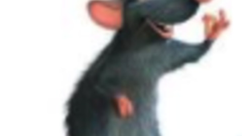 Ratatouille off work