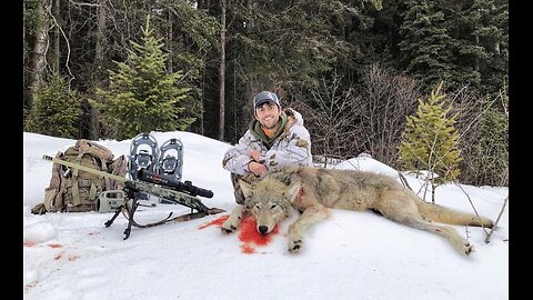 Public Land Wolf Hunting 7