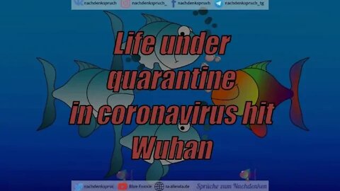 Life under quarantine in coronavirus hit Wuhan