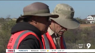 Plant preservation: volunteers rescue cacti and succulents across Southern AZ