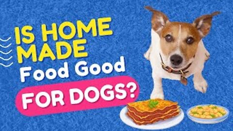 Is Homemade Food Good For Dogs?