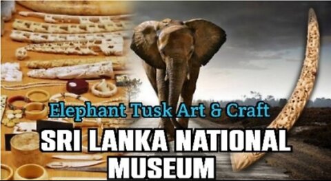 Elephant Tusk Handcrafts | Sri Lanka Colombo National Museum | Sri Lanka Museum | Sri Lanka National Museum | Elephant Tusk