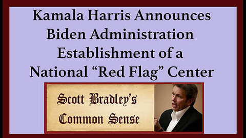 Kamala Harris Announces Biden Administration Establishment of a National "Red Flag" Center