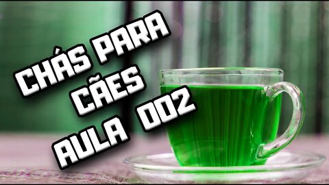 Medicina Chinesa e Chás para Cães: aula 002 | Dr. Edgard Gomes | Alimentação natural para Cães