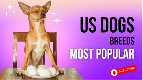 popular US dog’s breeds