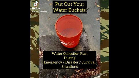 Water Collection Devices for Survival and Camping