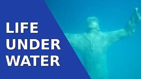 LIFE Under Water - Ep 29 Sailing With Thankfulness
