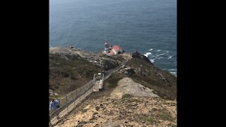 Point Reyes National Seashore