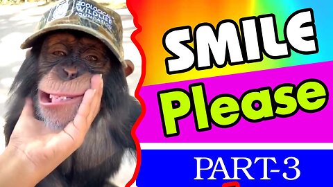 Funny animal videos|Cute animal videos |Funny dog&cat videos|Hilarious pet videos|funny video part-3