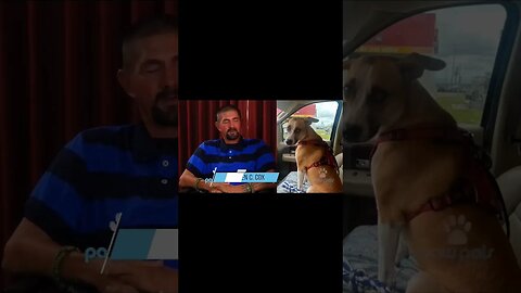 Paw Pals TV: Marine Veteran Steven Cox speaks of loss of ESA Emba euthanized by City of Killeen.