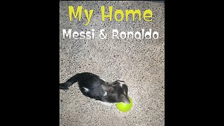 My Home Ronaldo😂😂