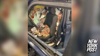 Hoarder needs way more than her windshield fixed