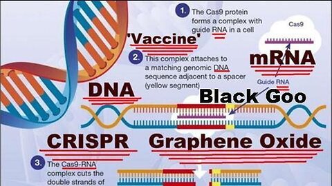 Human Nature: What is the Nanotechnology CRISPR? Graphene Oxide? Dark Matter? Back Goo?