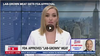 Food and Drug Administration approving the first lab-grown meat product