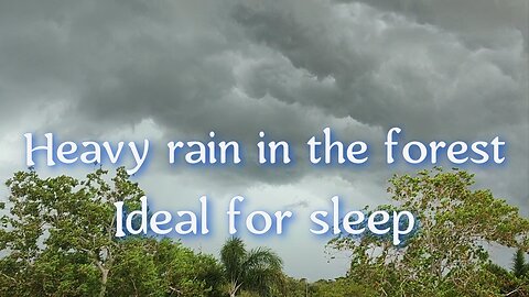 Fall asleep to the sound of rain, it will calm your nervous system and heart.