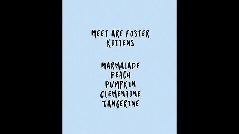 Meet are foster kittens