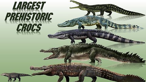Top 10 Prehistoric Crocodiles - Prehistoric