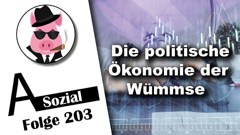 Die politische Ökonomie der Wümmse (A-Sozial 203)