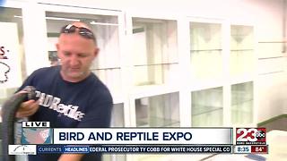 Exotic Bird and Reptile Expo at the Kern County Fairgrounds