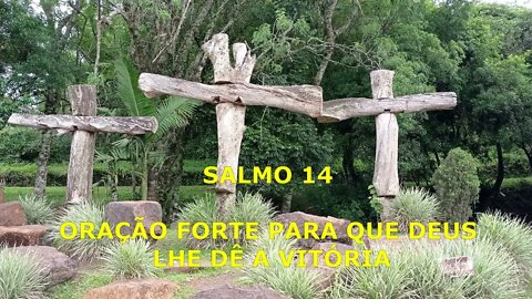 SALMO 14 ORAÇÃO FORTE PARA QUE DEUS LHE DÊ A VITÓRIA