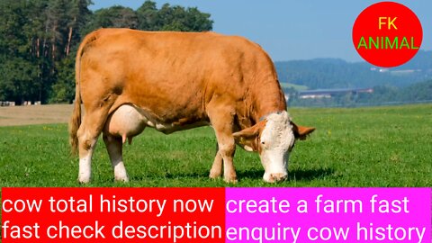 How to A cow total history