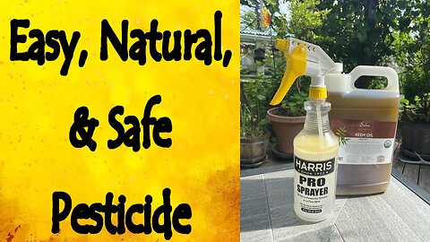 Natural, Safe, Organic, and Easy Pesticide