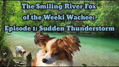 The Smiling Riverfox of the Weeki Wachee