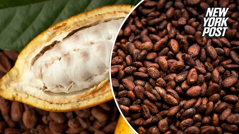 Global chocolate supply under 'real threat' from rapidly spreading virus: expert