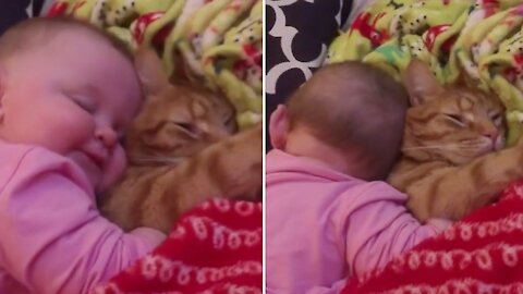 Sweet Kitten Lets Baby Adorably Cuddle With Her