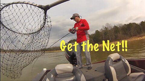 Flashback 2018: Pre-Spawn Cranking!!! #crankbait #bassfishing