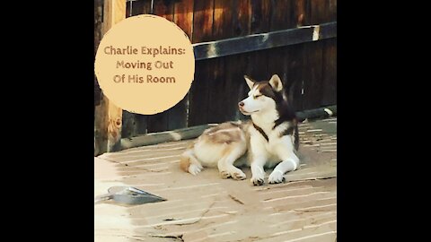 Charlie Explains: Moving Out of His Room