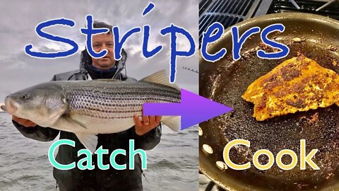 Striper Fishing - Catch to Cook!