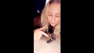 Dog get jealous when owner pets turtle