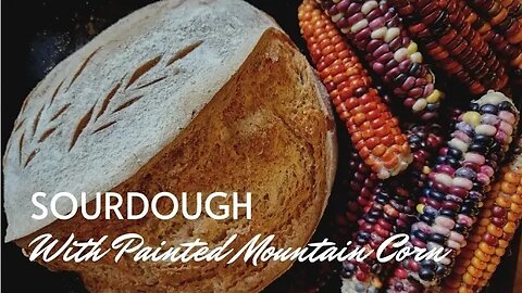 Painted Mountain Corn Recipe Series - Sourdough Bread you can grow in your SURVIVAL GARDEN!