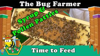 Time to Feed the Bees - Heading Into Dearth. 1:1 sugar syrup and pollen patties for the girls.