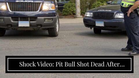 Shock Video: Pit Bull Shot Dead After Mauling Cop
