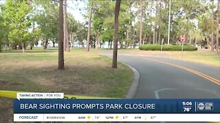 Bear sighting prompts park closure in Pinellas