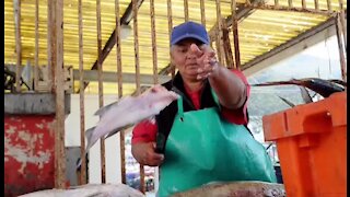 South Africa - Cape Town - Kalk Bay Fish Market (q3p)