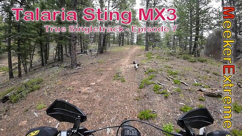 Talaria Sting MX3 - True Singletrack - Episode 6