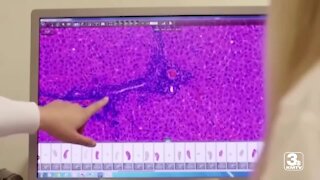 New COVID mutation likely already in Nebraska