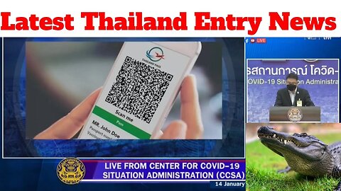 Thailand Pass: Hospitality Executives want Test n Go return, Crocodile meat, and more