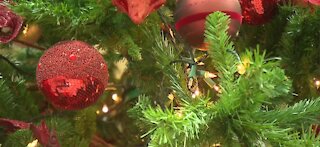 US Surgeon General urges people to be careful during holidays