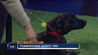 Ask the Expert: Thanksgiving pet safety tips