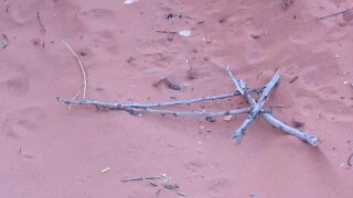 Valley of Fire - Black Sun Petroglyph