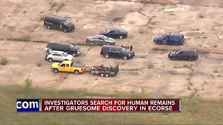 Police: Human remains found in Ecorse
