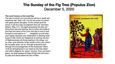 The Sunday of the Fig Tree (Populus Zion) - Advent 2 - December 5, 2020