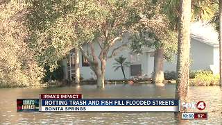 Bonita Springs submerged again after Irma