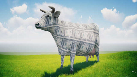 Learning Loss Or Cash Cow?