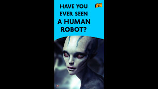 What Is A Humanoid?